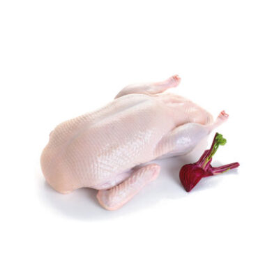 Pato Importado Lb