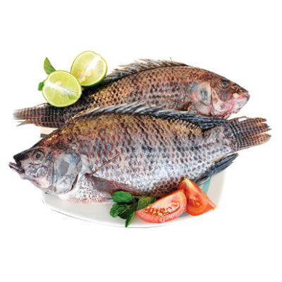 Tilapia Negra Por Libra.